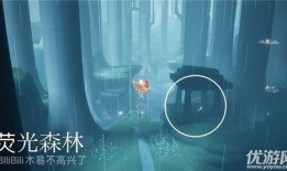 光遇冥想季最新爆料,揭秘神秘新元素与浪漫冒险之旅