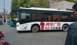 嘉兴最新公交爆料信息网,揭秘嘉兴公交路线调整与优化